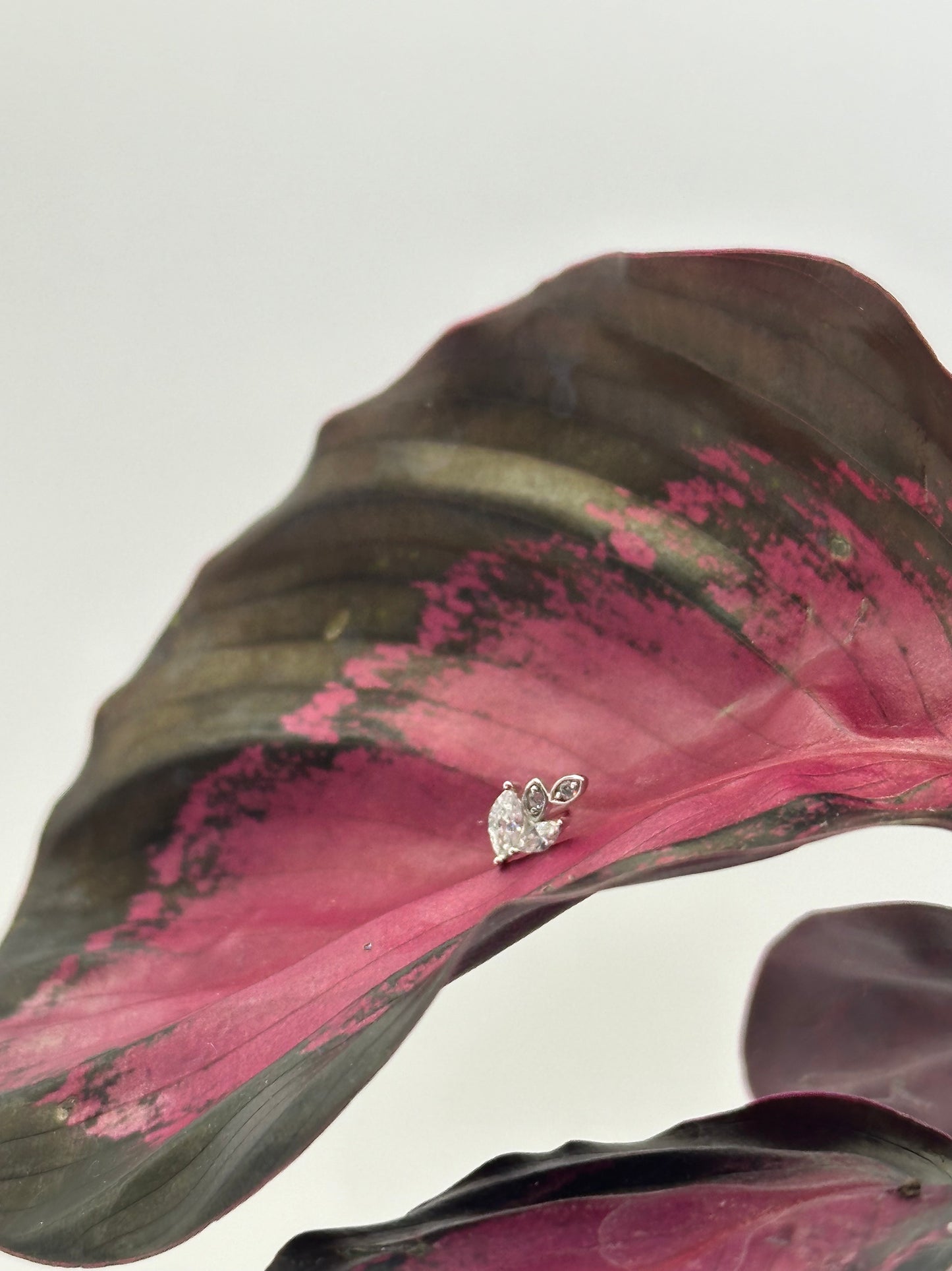 14k White Gold Twinkle Threadless End with Titanium Post